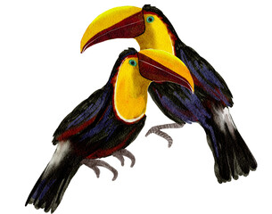 Bird watercolor painting