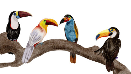 Bird watercolor painting