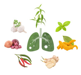 Herbs have properties believed to fight colds such as turmeric, ginger and other herbs on transparent and lung icon.