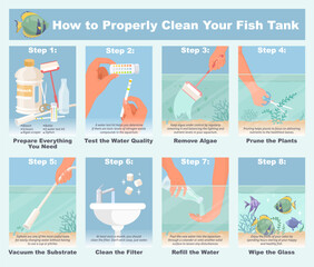 How properly clean fish tank step-by-step infographic - obrazy, fototapety, plakaty