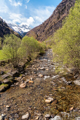 Spring landscape with Ticino river in village Chironico, municipality of Faido, in the Canton of Ticino, district of Leventina, Switzerland