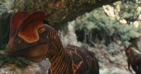 Jurassic Quest: Dilophosaurs Roam the Jungle in Search of Food