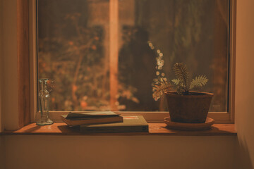 potted plants and books by the dark window