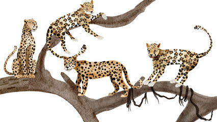 Wild animal, Leopard  watercolor painting