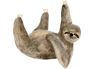 Sloth watercolor painting