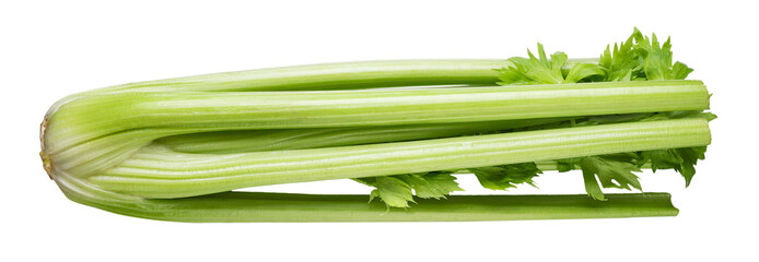 Celery stalk close-up on a white . Isolated