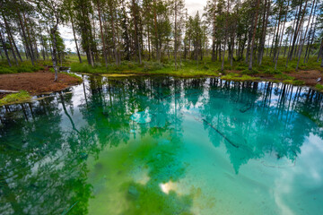 Tranquil Woodland Oasis: Clear, Cold Water Spring in Northern Sweden