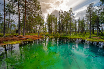 Crystal Clear Artesian Spring in Northern Sweden