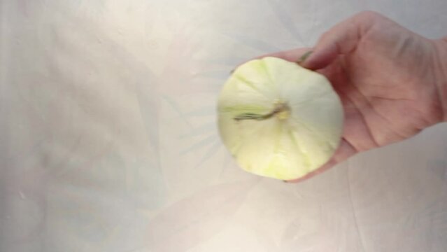 pattypan squash in a hand
