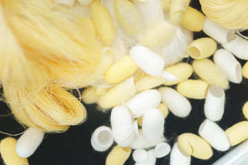 White and yeloow silkworm cocoons and slik thread