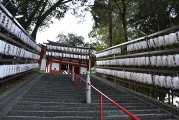 日本の神社の風景