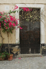 antique black door with flowers on a one way mediterranean paver street