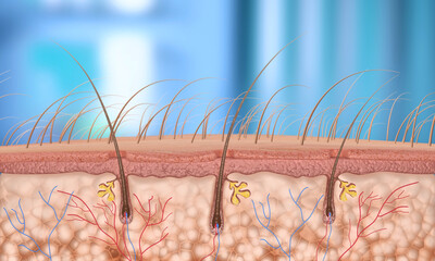 3d Render Hair Follicle close-up (Depth of Field) - obrazy, fototapety, plakaty