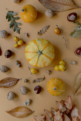Autumn composition made of pumpkins, dried leaves, chestnuts and acorns.