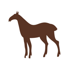 Standing horse silhouette with rich chestnut color