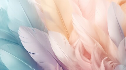 Beautiful and soft pastel color feather background  delicate and elegant