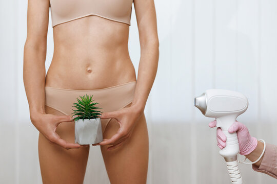 Close-up of bikini area depilation. Hair removal, joke, laser epilation, fun. Woman holds a cactus on the background of panties. Concept bikini laser hair removal