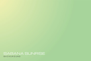 Abstract savanna grass with the sunrise background. soft green and yellow background with light. gradient banner with copy space for your design.