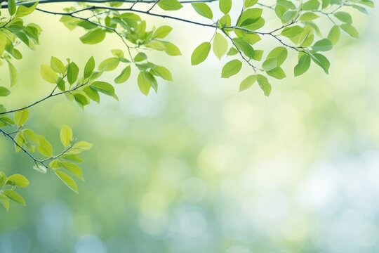 Sping background with green tree leaves. Beautiful illustration picture. Generative AI