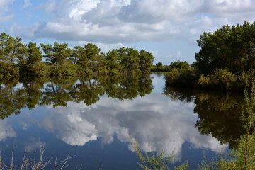 France, Aquitaine, Bassin d'Arcachon, le Teich, magnifiques reflets des nuages sur un étang d'eau salée.