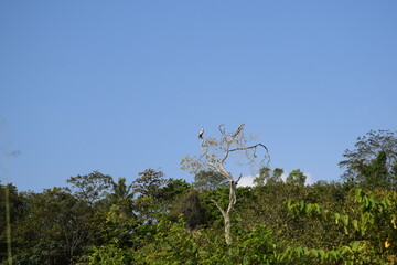 Beautiful Nature