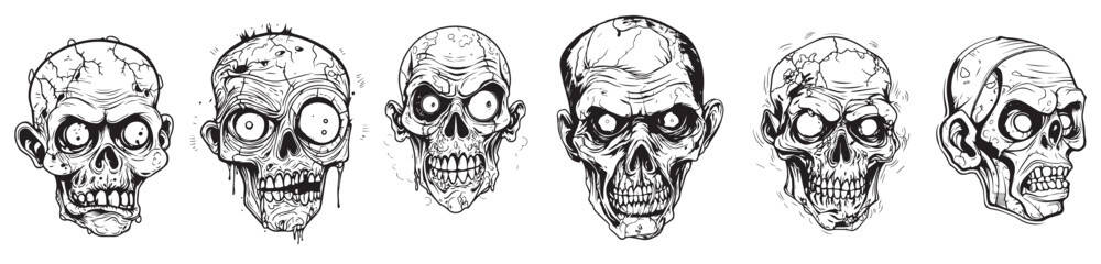 Skull head vector illustration on a white background. Scary human skull.