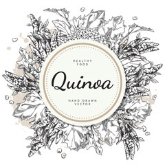 Engraved Quinoa branch with flowers, leave and seeds, healthy food vector hand drawn design label round shape, lettering