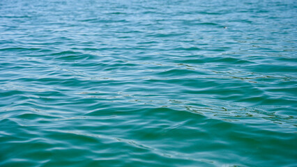 Fototapeta premium Water surface. The green color of the lake. Waves on the water.