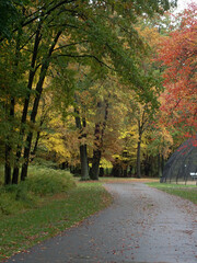 Landscape with Autumn leaves on the trees
