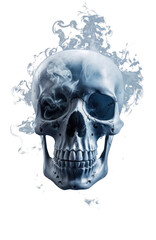 ice skull. dry ice skull. smoke skull. frozen skull.