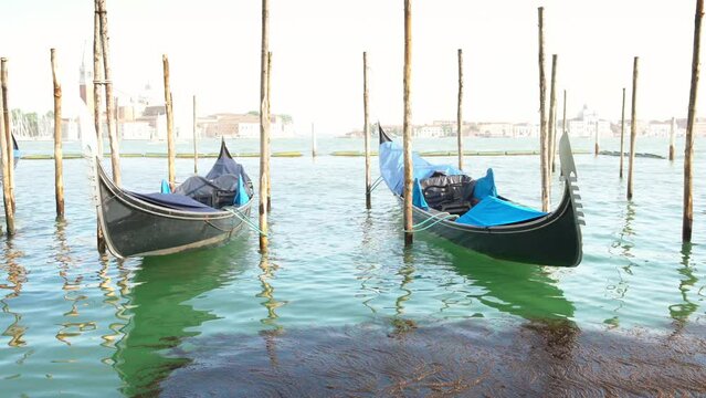 4K video of moored Traditional Venetian gondolas rocking floating on the rocking on the green waves of the channel, embankment at the Piazza San Marco, Mediterian sea, Venice,  Veneto region, Italy.