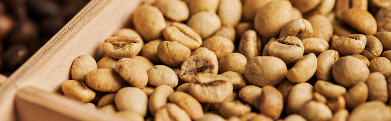 coffee beans in wooden box, light roast, caffeine and energy, coffee background, banner