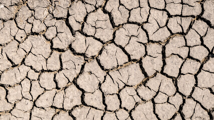 Texture of cracked and dried ground