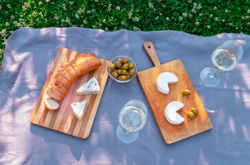 Outdoor picnic setting with camembert cheese, blue mold cheese and white wine. Top view.