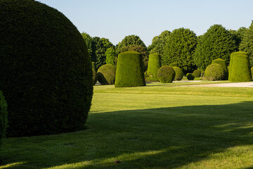 Beautiful park with evenly trimmed cylindrical and and spherical shaped trees