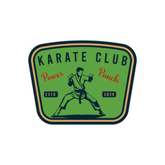 karate or martial arts logo, emblems, icons, and labels.