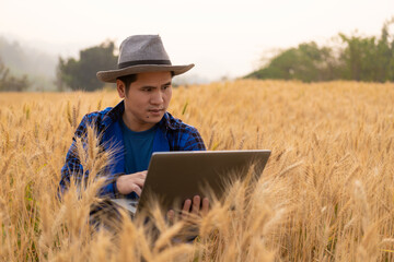 Naklejka na ściany i meble Agriculture industry concept, Asian male farmer holding laptop, paying attention to his crops for a rich harvest and preparing to harvest organic wheat crops.