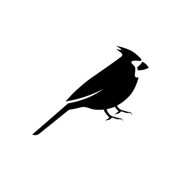 recommend clip art: cardinal bird vector logo