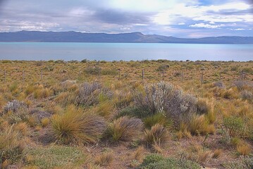 landscape with field