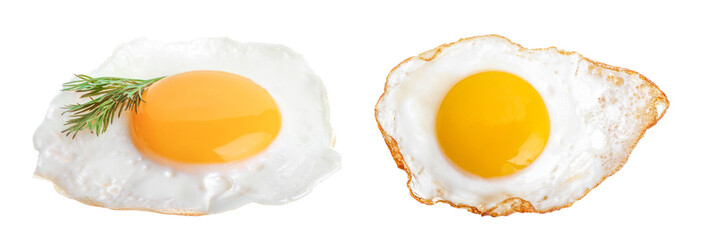 Fried egg isolated on white background closeup