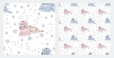 Pattern design with funny Blue and Pink brussels griffon doodles, seamless pattern with stars. T-shirt textile, linen, wrapping paper, white background graphic design. Wallpaper for Babies and kids.