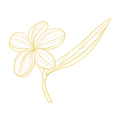 Gold outline illustration with tropical flower