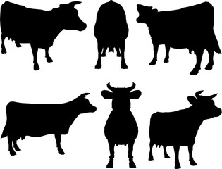 Vector sketch illustration of a farm dairy cow with horns