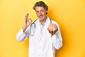 Doctor holding a brain model, yellow studio backdrop cheerful and confident showing ok gesture.