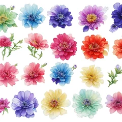 Zelfklevend behang Tropische planten collection of flowers