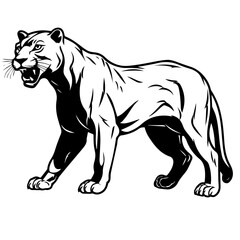 panther vector illustration