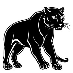panther vector illustration