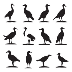 Obraz premium Albatross silhouettes Black flat color simple elegant Albatross animal vector and illustration