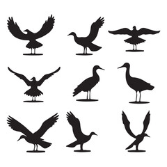 Albatross silhouettes Black flat color simple elegant Albatross animal vector and illustration