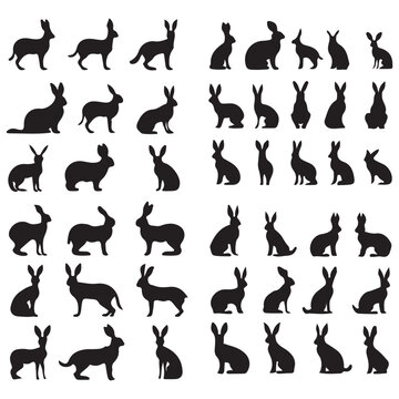 Hare silhouettes Black flat color simple elegant Hare animal vector and illustration